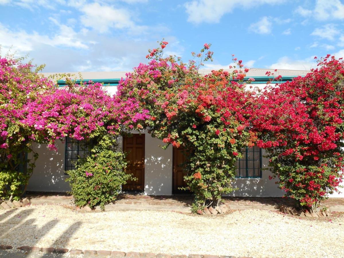 Obesa Lodge Graaff-Reinet 외부 사진