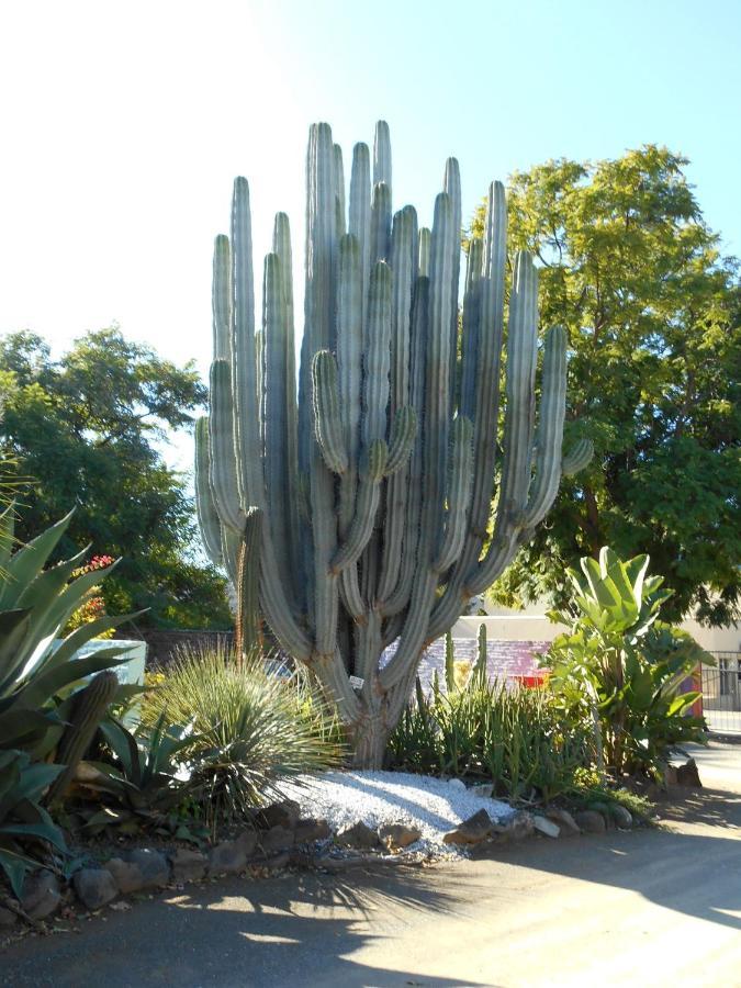 Obesa Lodge Graaff-Reinet 외부 사진